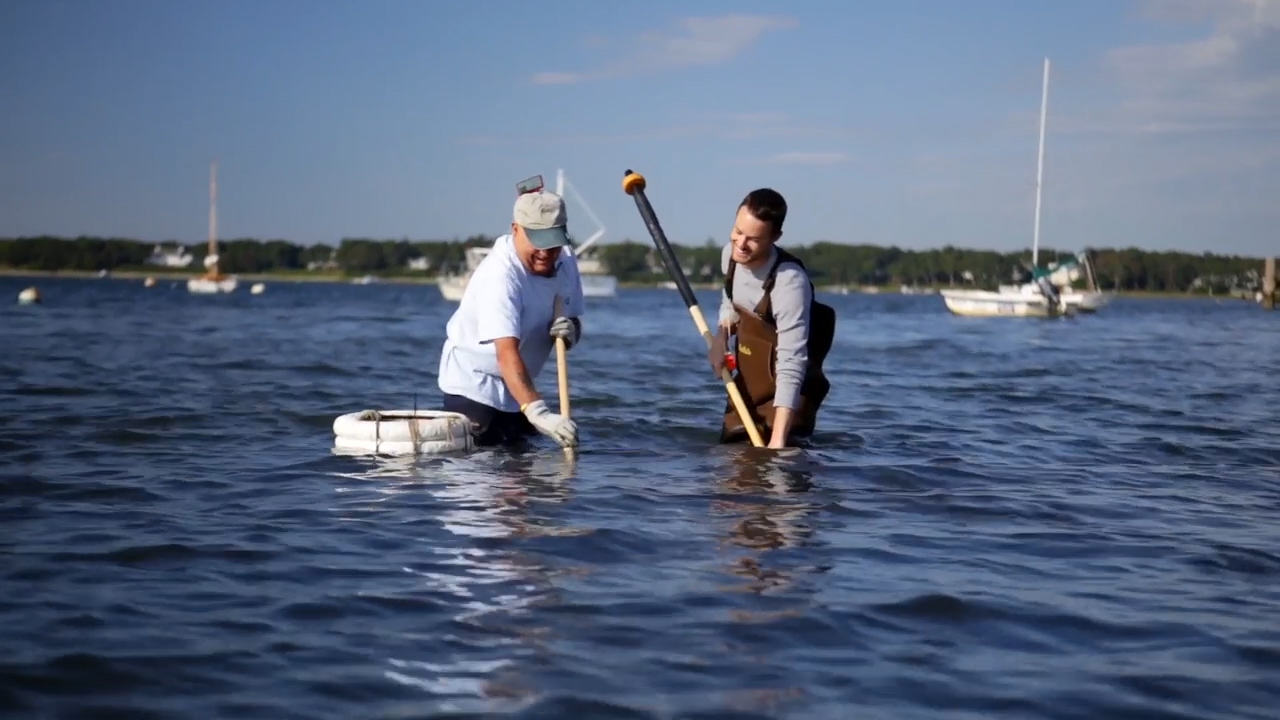 Tastemade — original series still